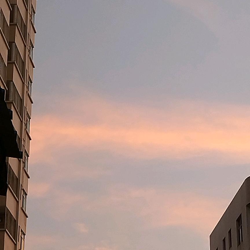 蘇蘇