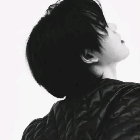 熊熊必辉煌(粉丝版)