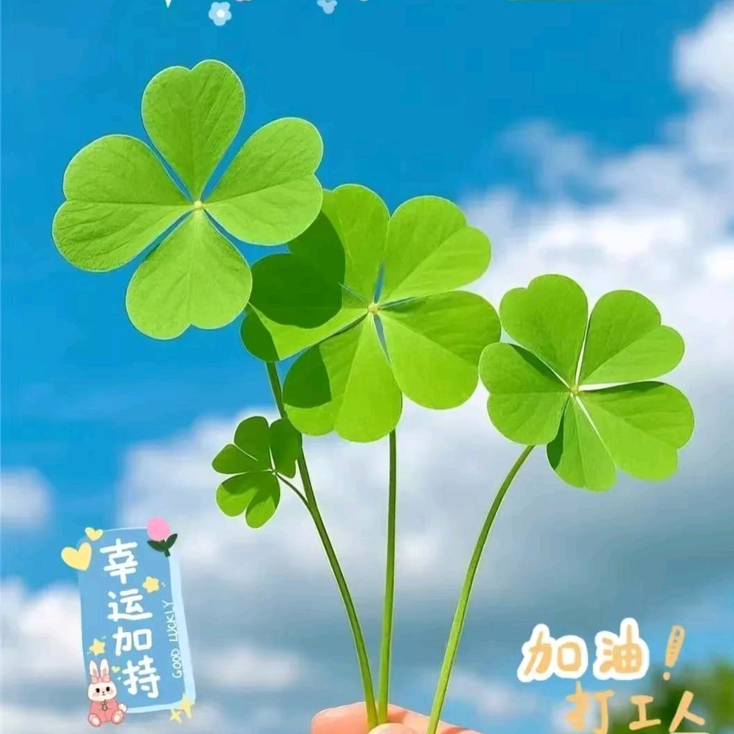 郧阳青山