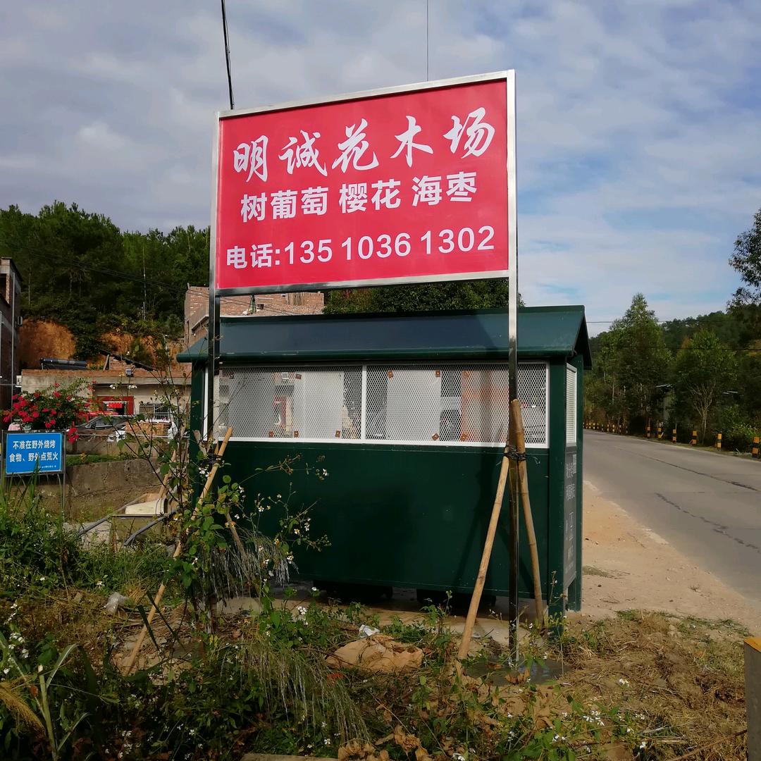 诚哥
