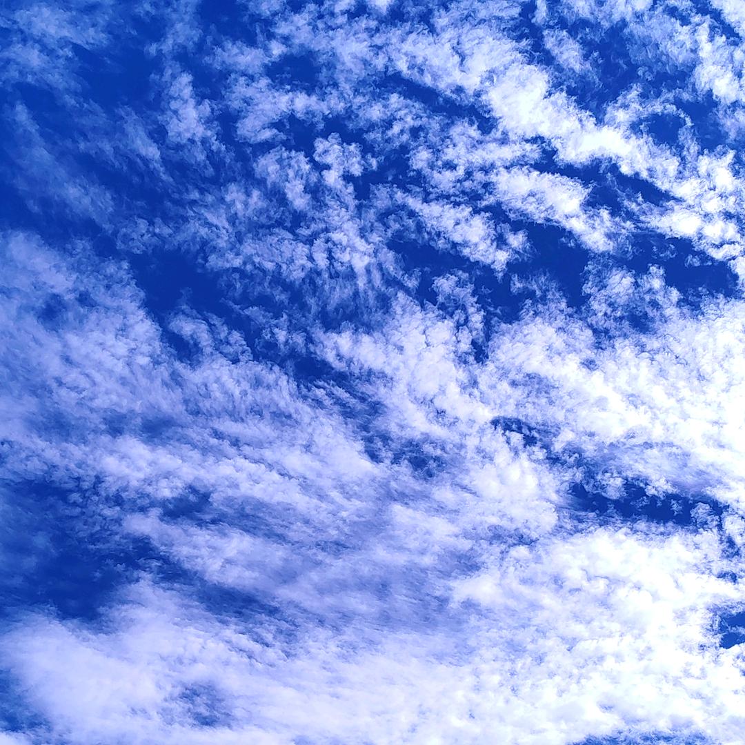 北风之尾