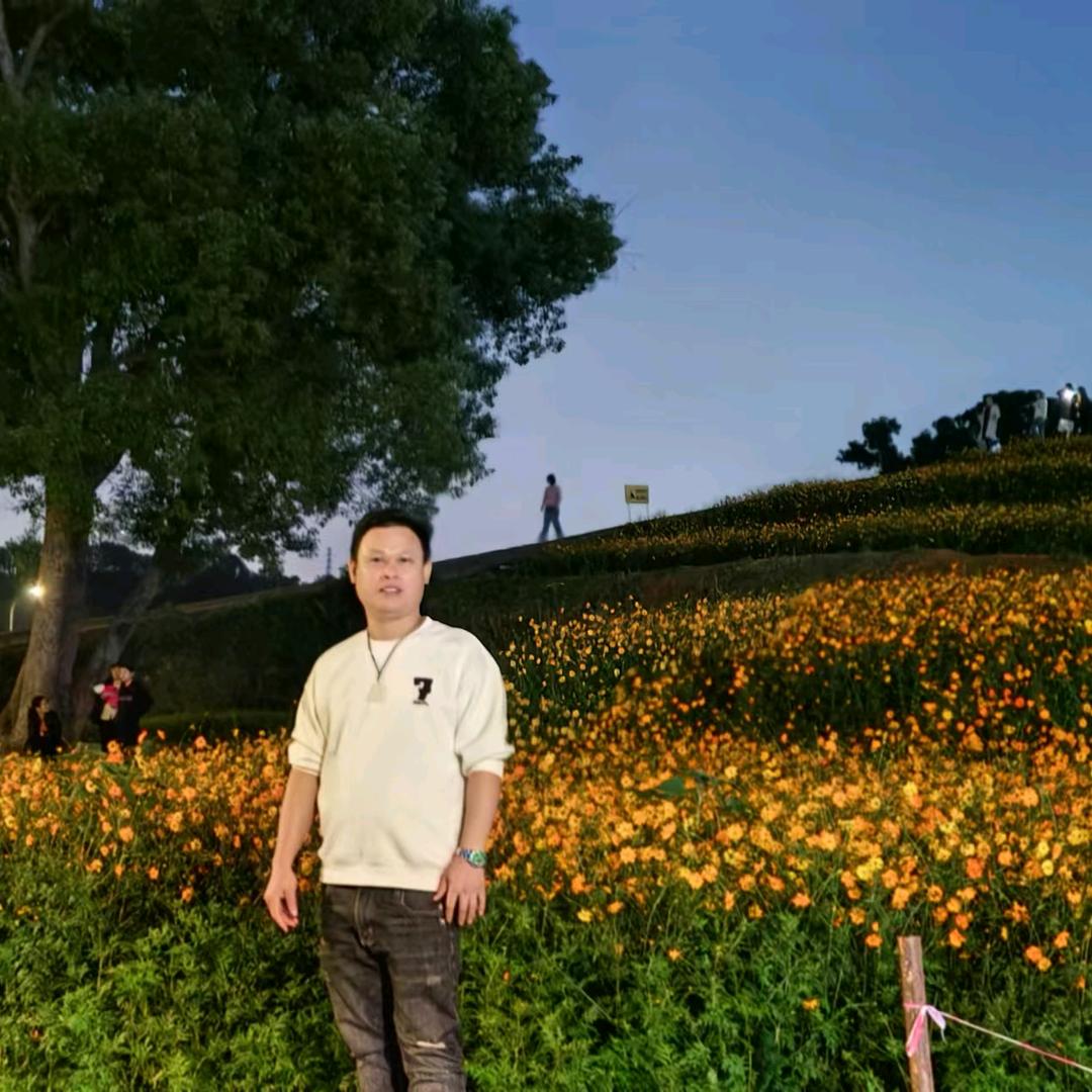 布布