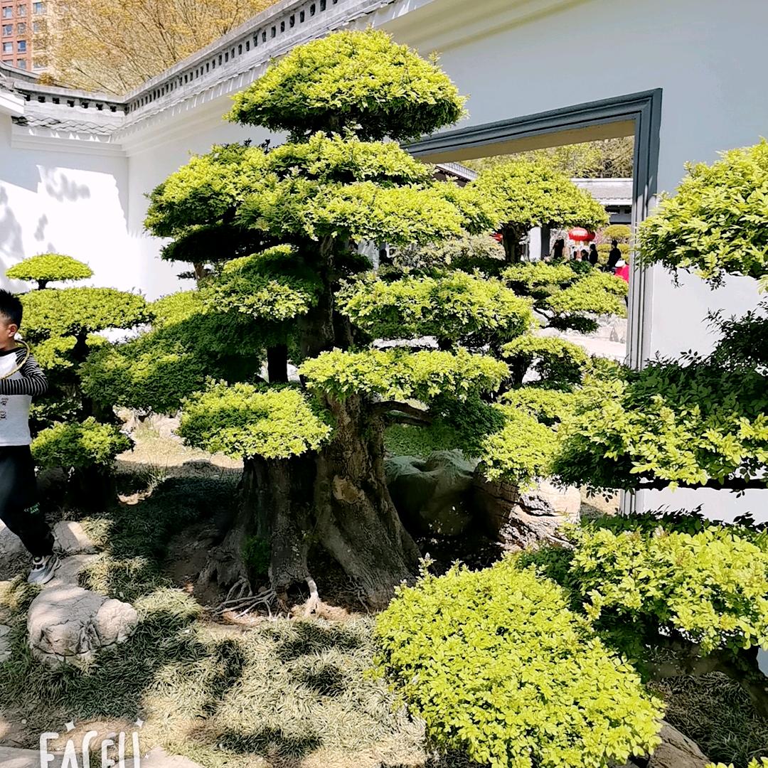 淼淼123
