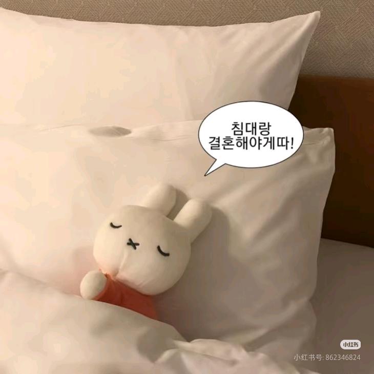 星期八不上早八