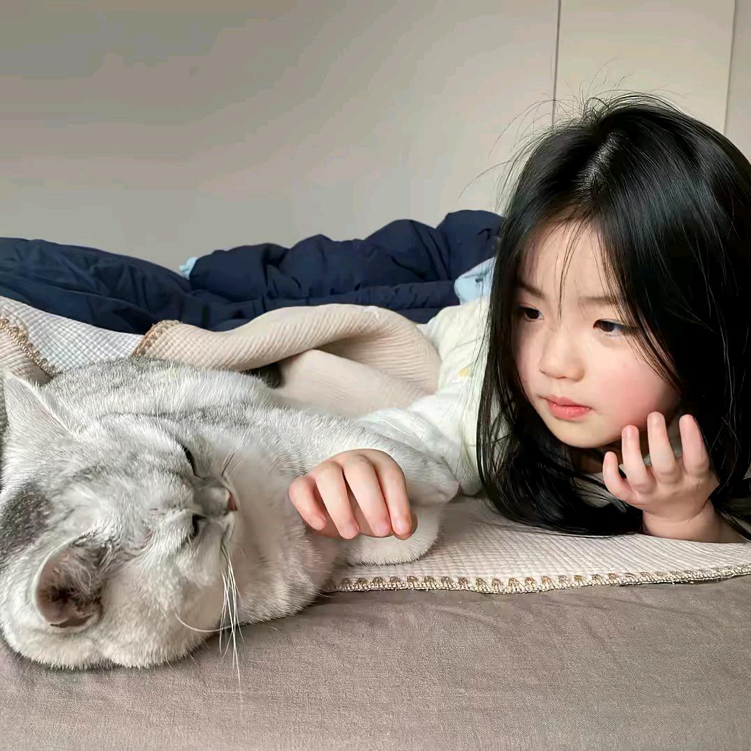 鸟与鱼