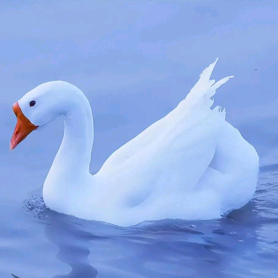 八零后