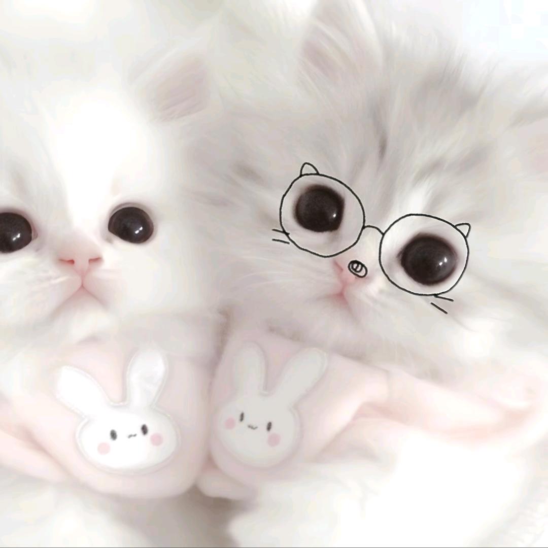 我是菡菡你记住