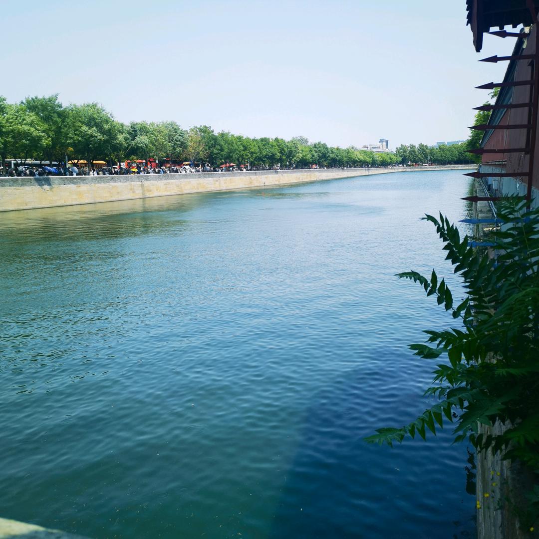 小芯