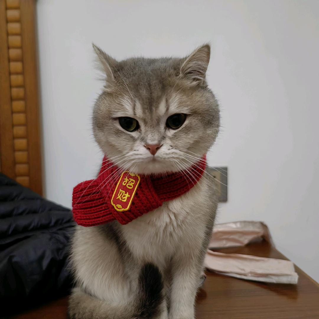hh
