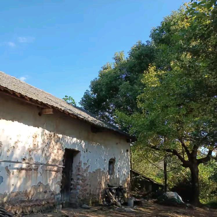 记录农村美好生活