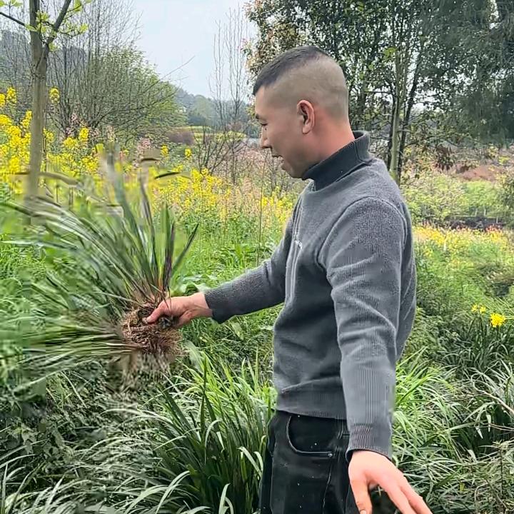 刘少爷
