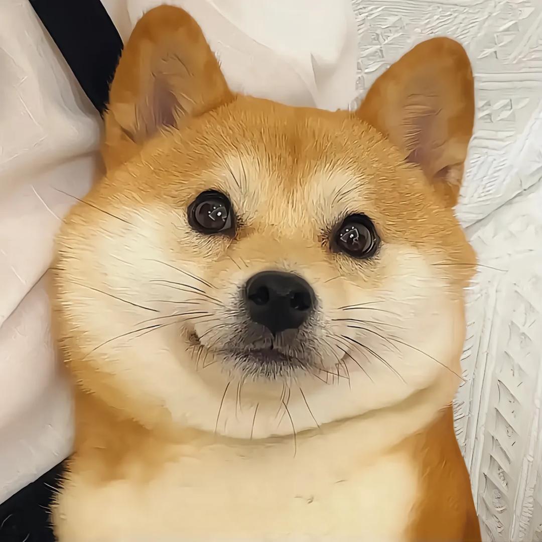 🌈平平淡淡✨🧸