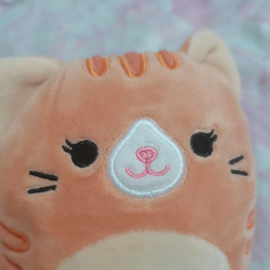 源来好运✨✨（互关）