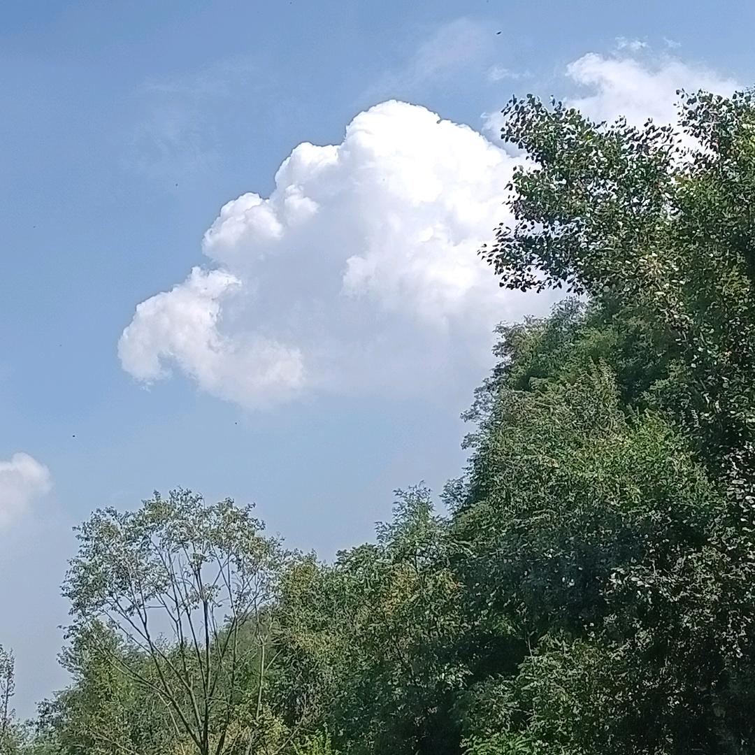 秋风～