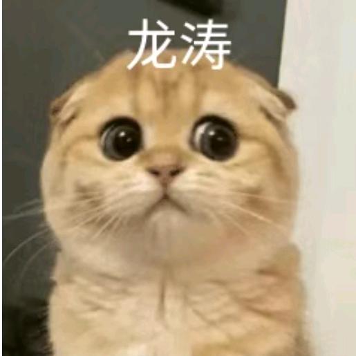 涛涛同学