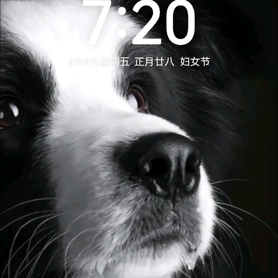 我是11235
