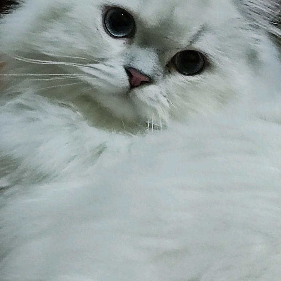 *^O^*-(