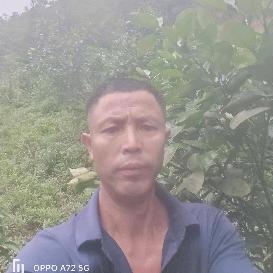歌手开心就好