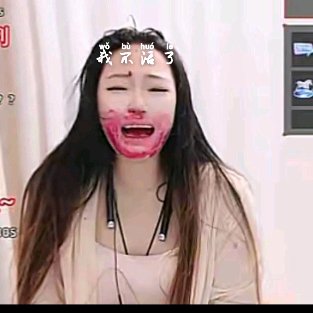北老登（揍死揍富贵版）