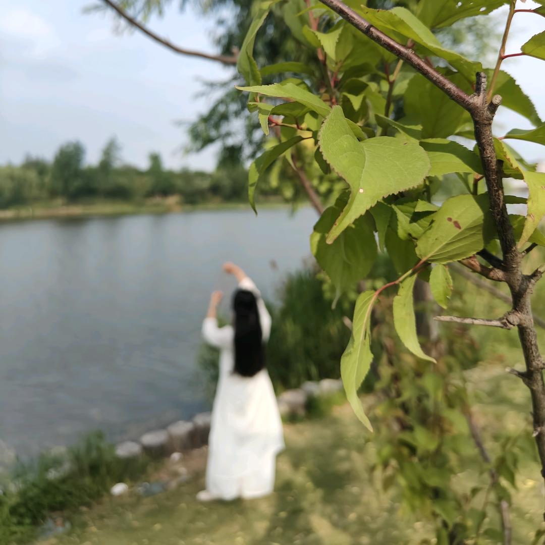逸尘