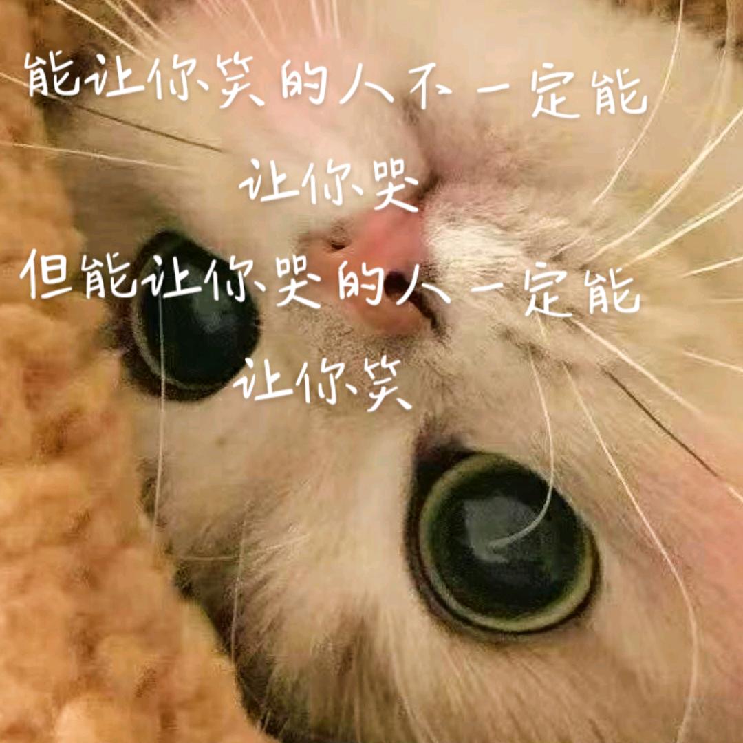 迷茫