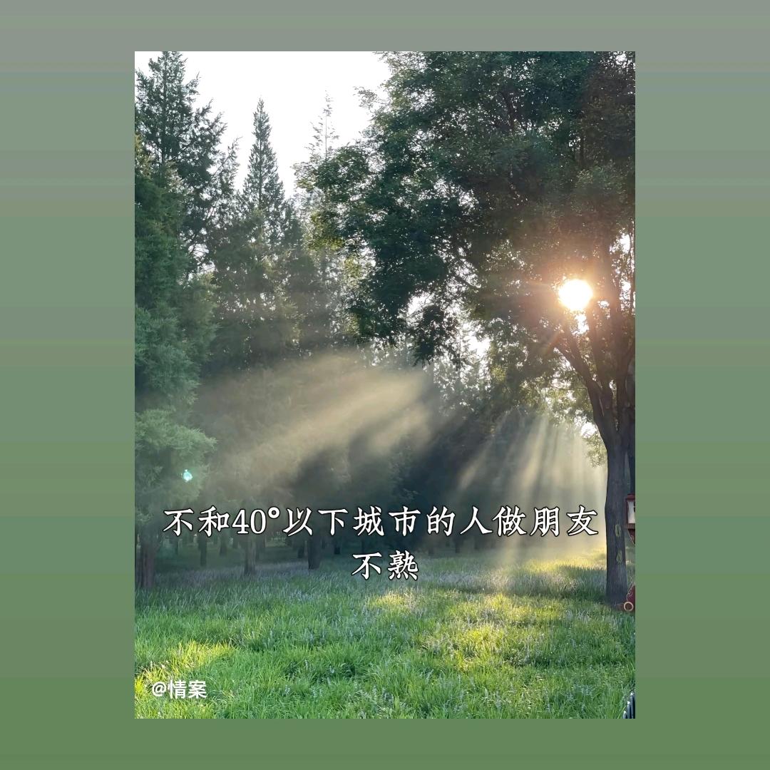 钟情于你