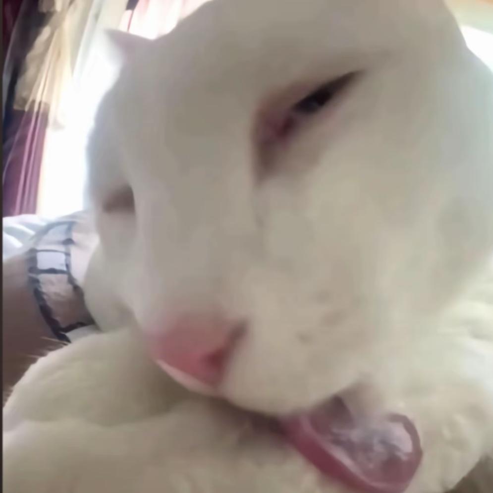 汤圆