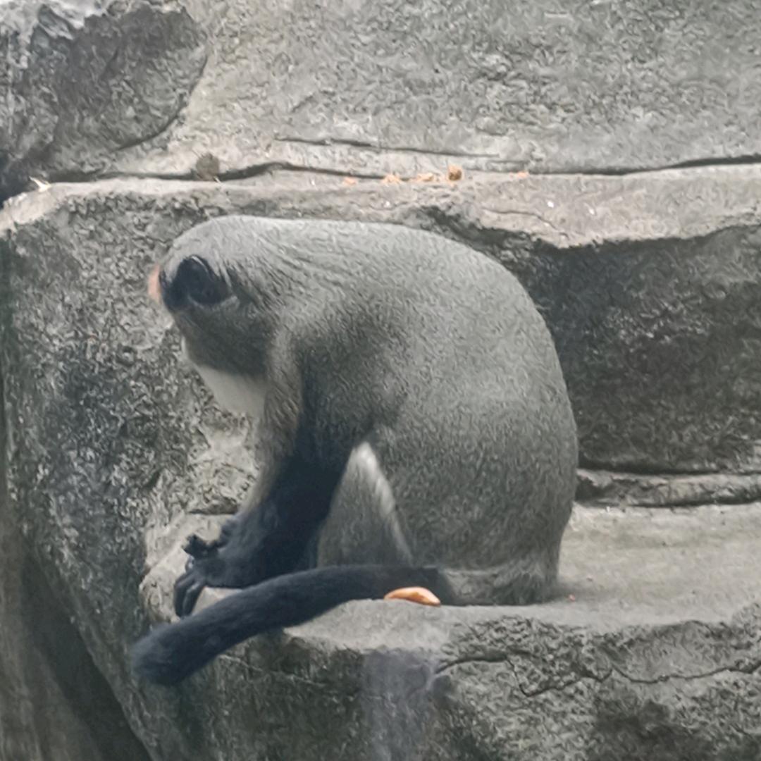 江山狂野