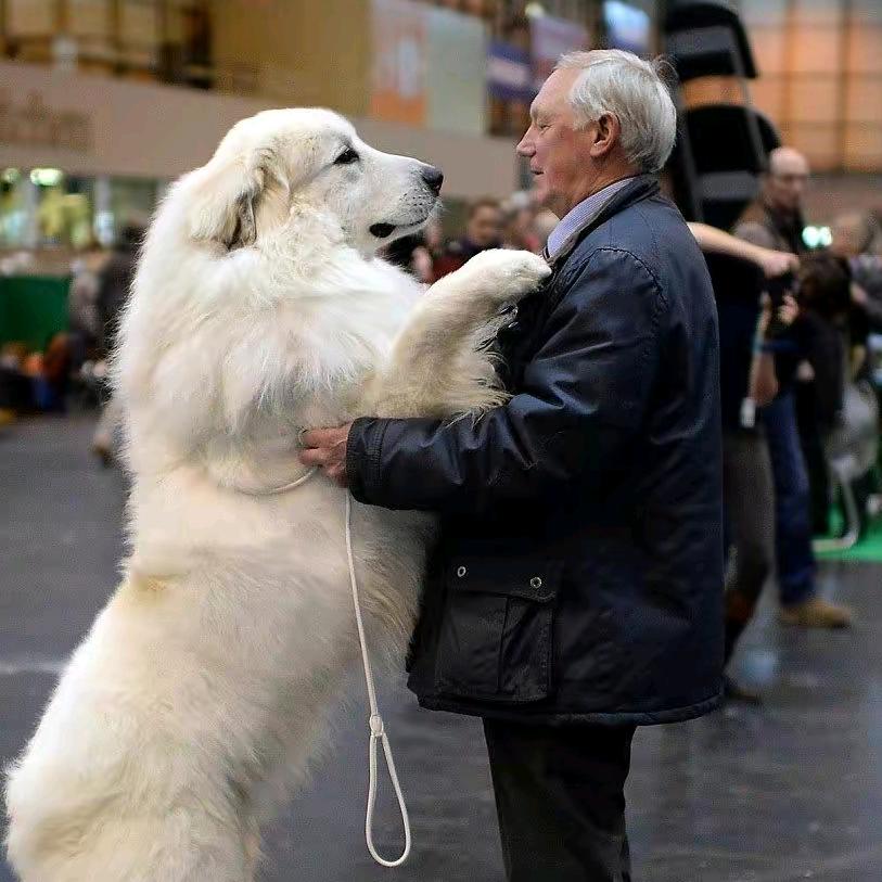 东边日出西边雨