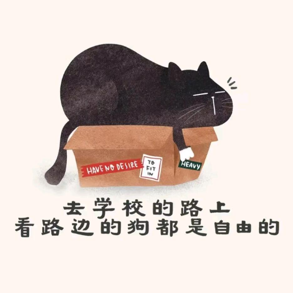 可乐小鱼
