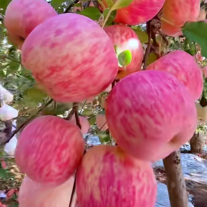 幸福