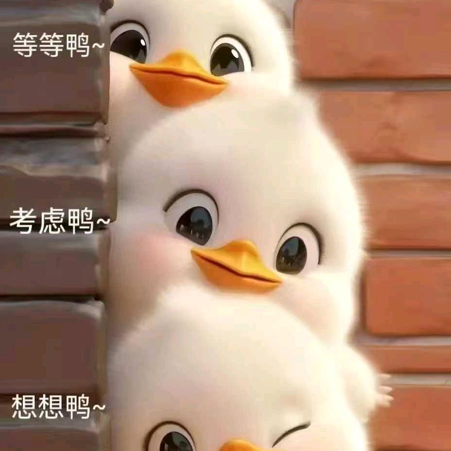 辉县欧代斯小黎