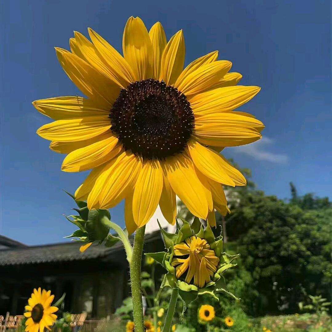 💞小爱💞᭄᪲ᩚ꯭