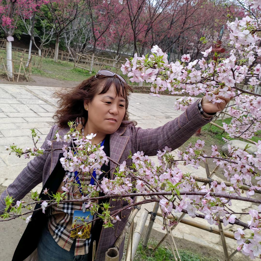 ～晓晓煎饼麻花