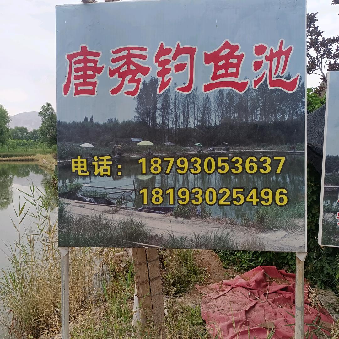 太极岛唐秀钓鱼池