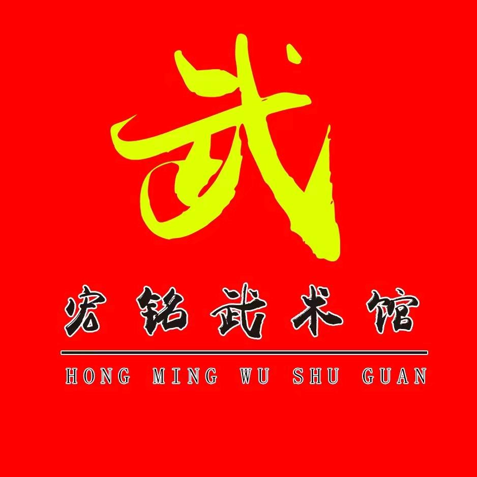 🇨🇳宏铭武术🇨🇳