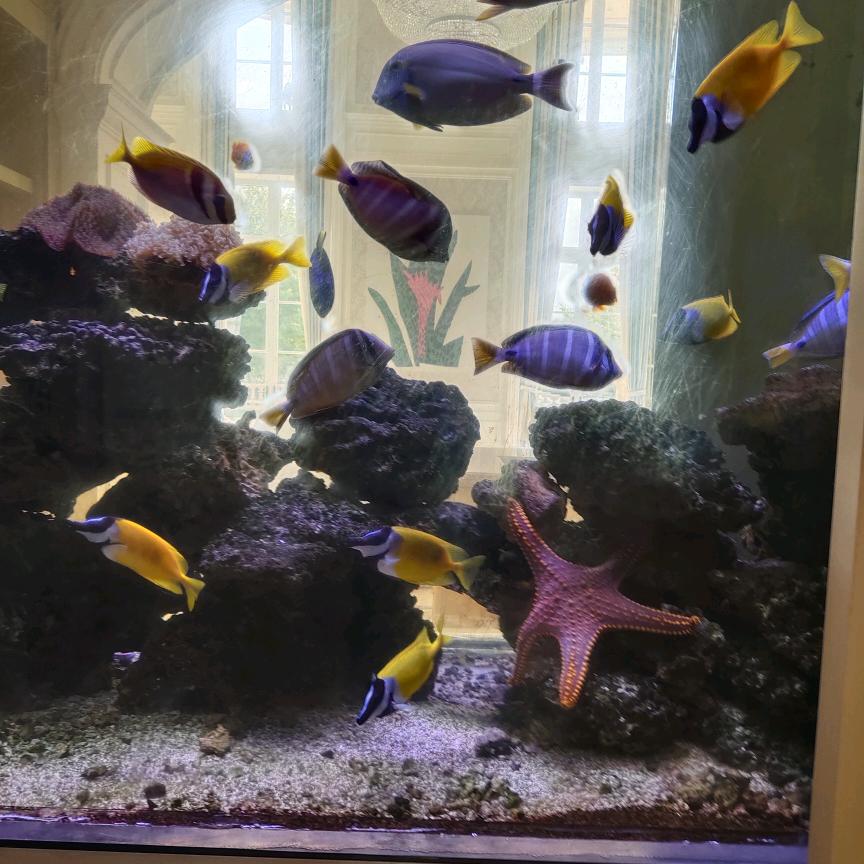 六哥音乐🎶分享