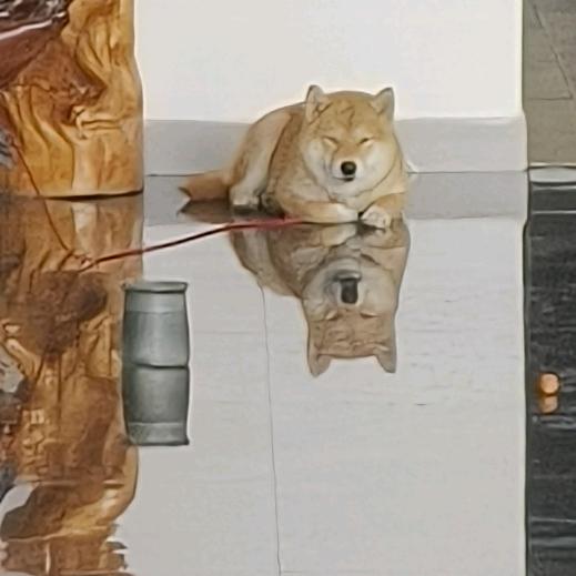 叶墨