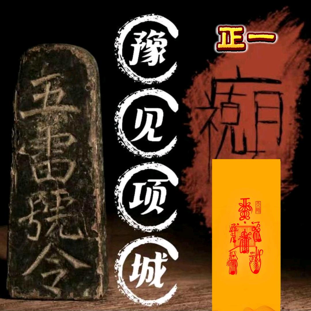 豫见项城