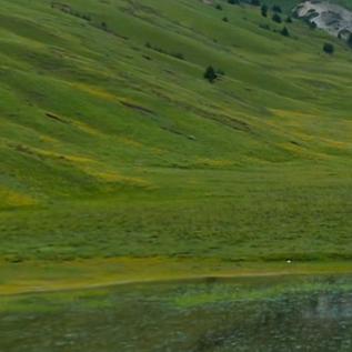 👸🏻doudou👸🏻关东【女王】