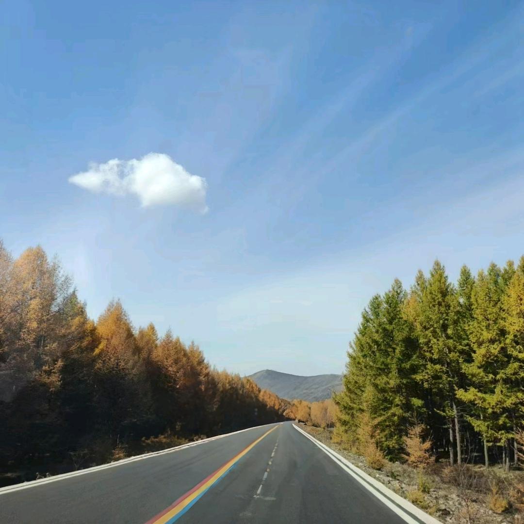 逗逗