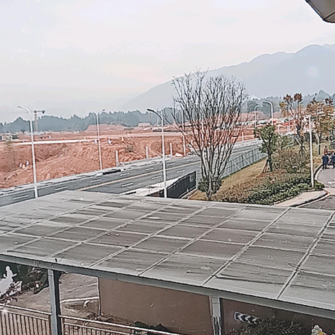 菊姐橱窗好物分享