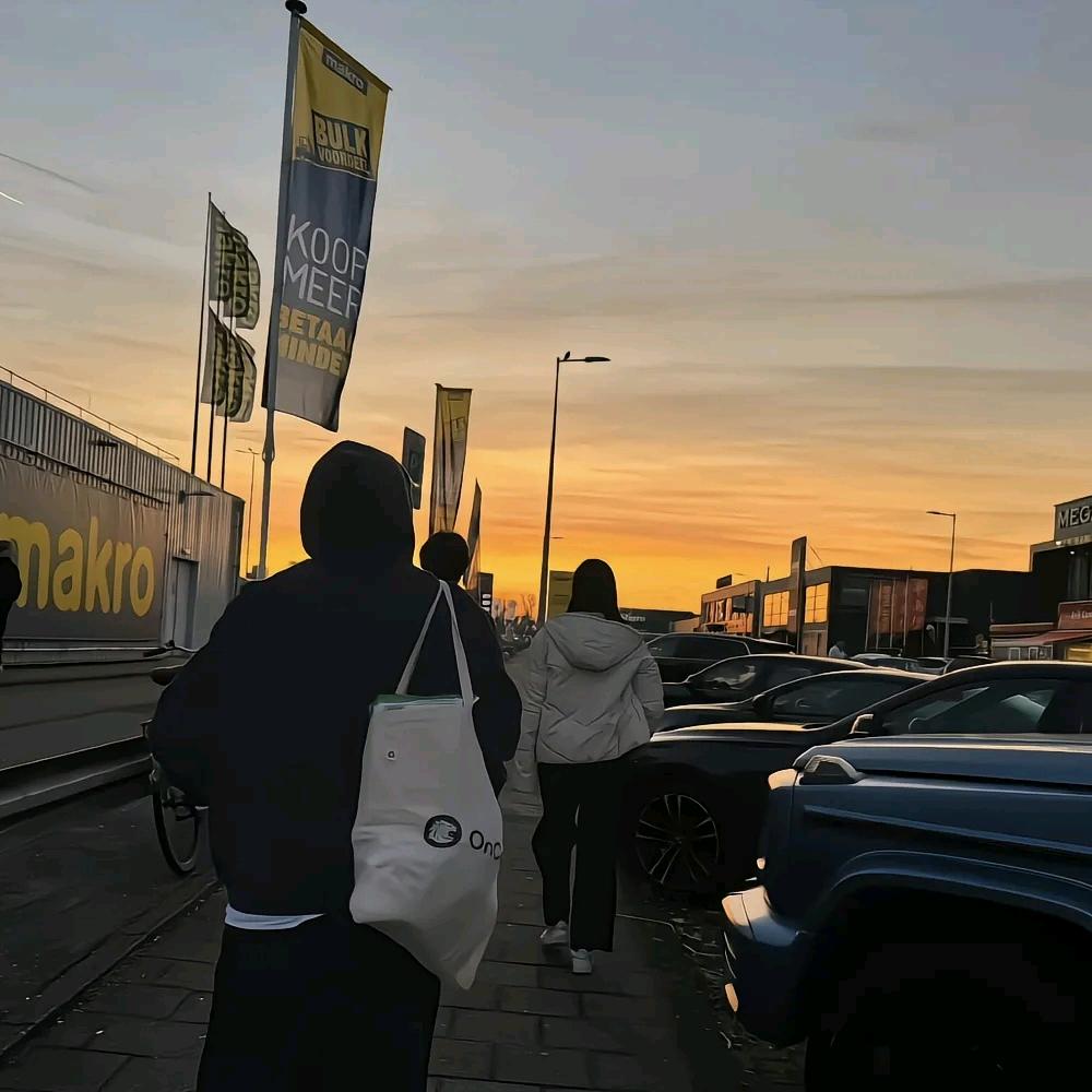 落坨翔子（租房版）