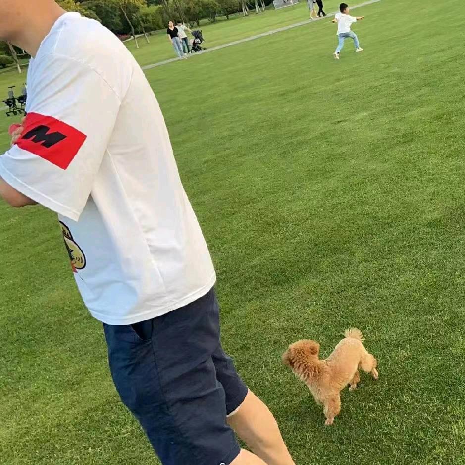 ✨✨✨羽哥哥✨✨✨