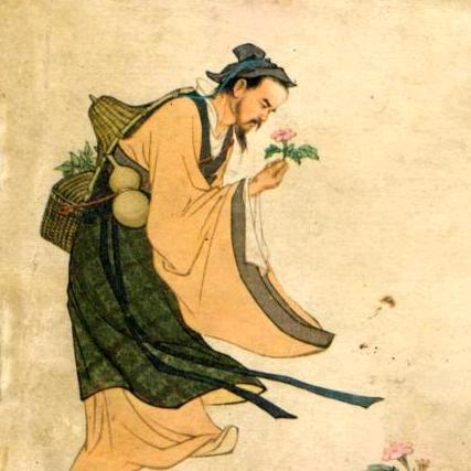 阿杜本草