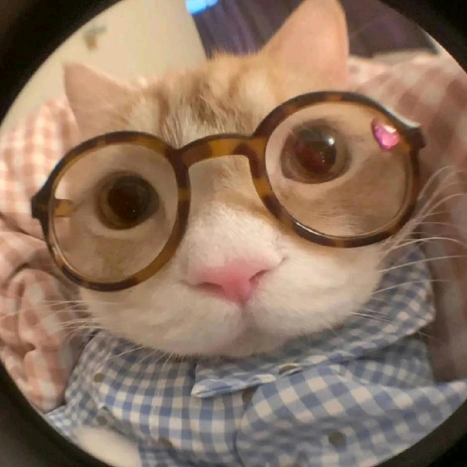 顾云烟