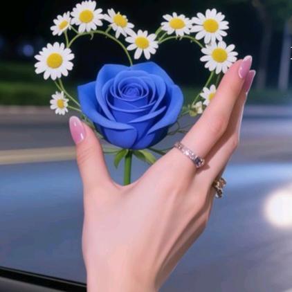 风  雨  人  生  路