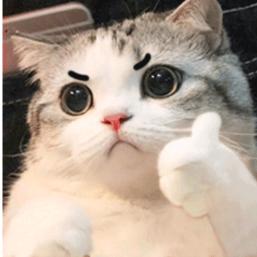 旺财