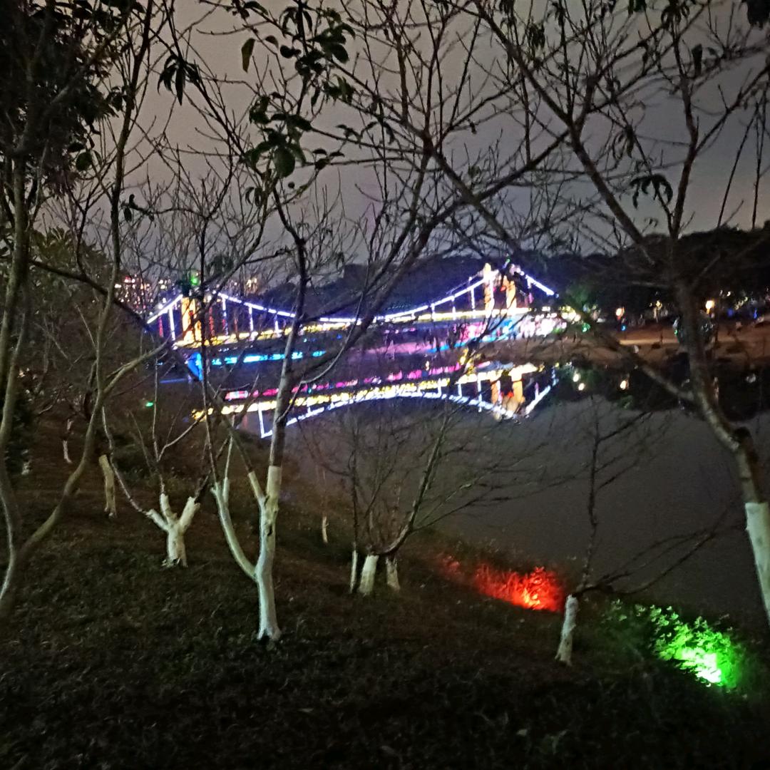 天天花