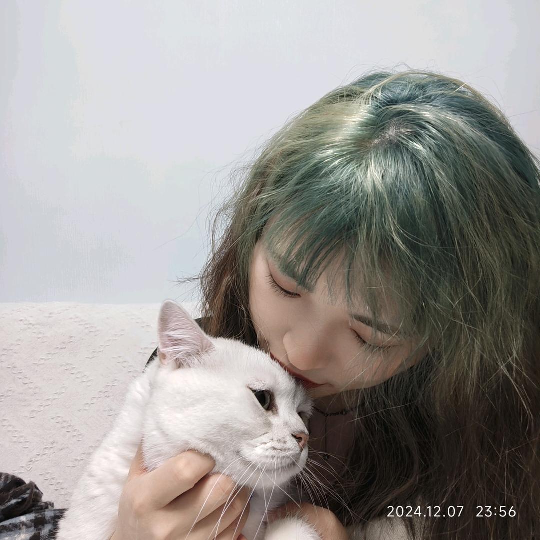 了不起的猫猫猫